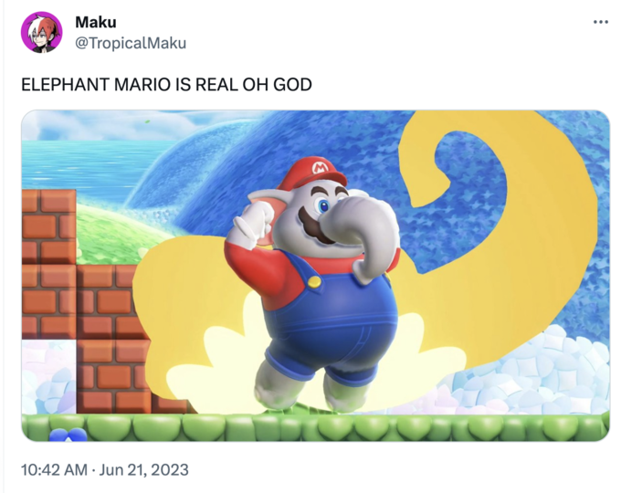 Super Mario Elefante meme