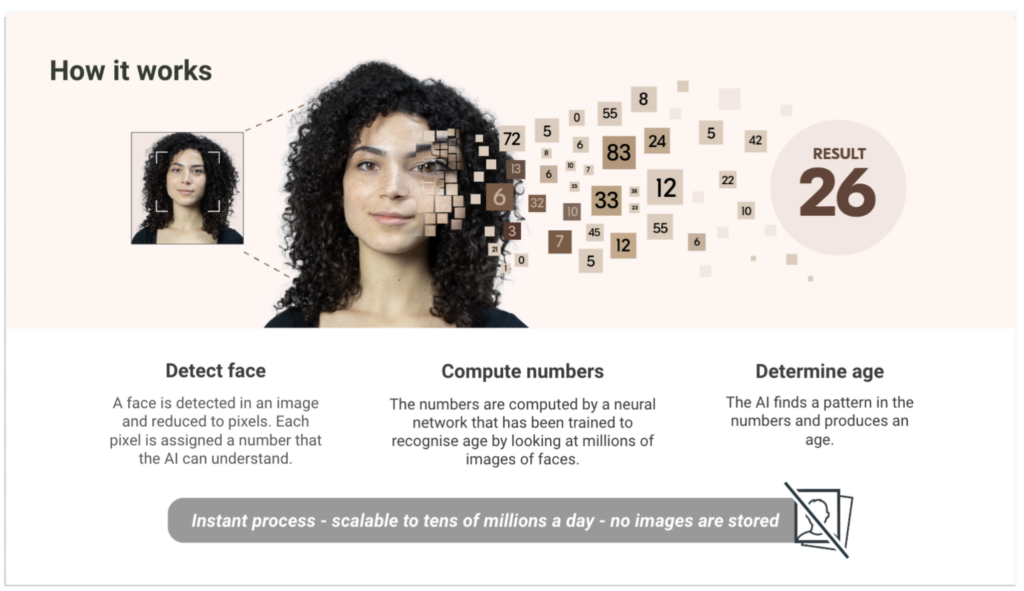 Il sistema di riconoscimento facciale proposto da ESRB