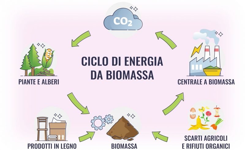 Il ciclo di energia da biomassa illustrato