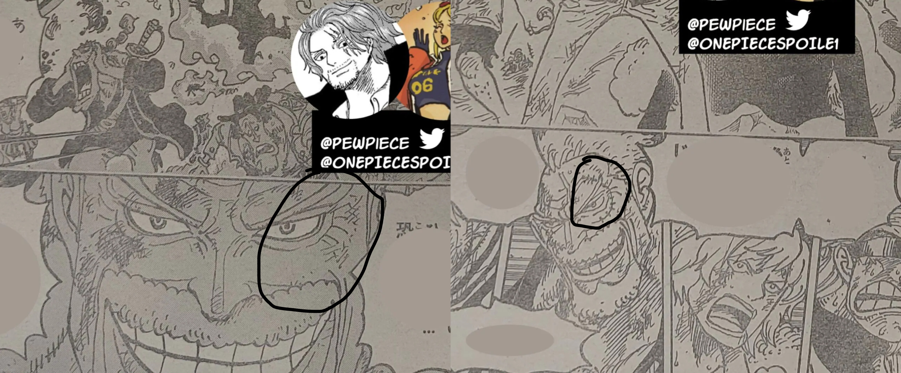 Garp di One Piece