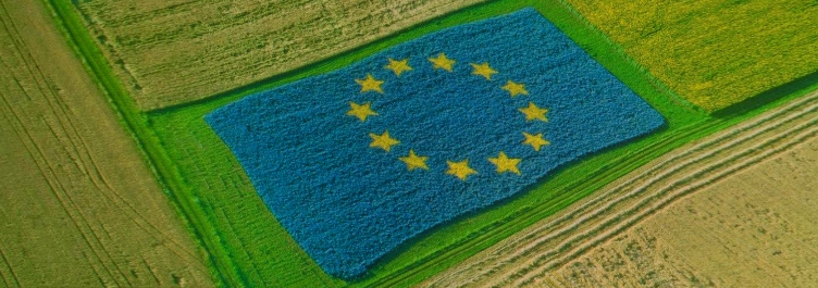 Europa green con l'utilizzo di biocarburanti