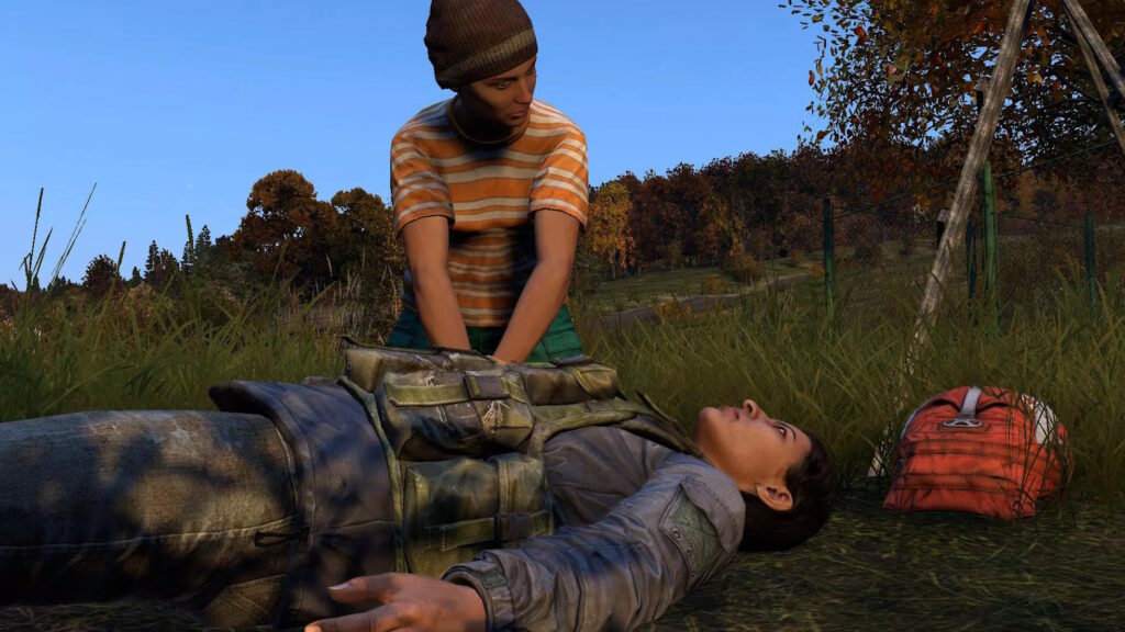 DayZ