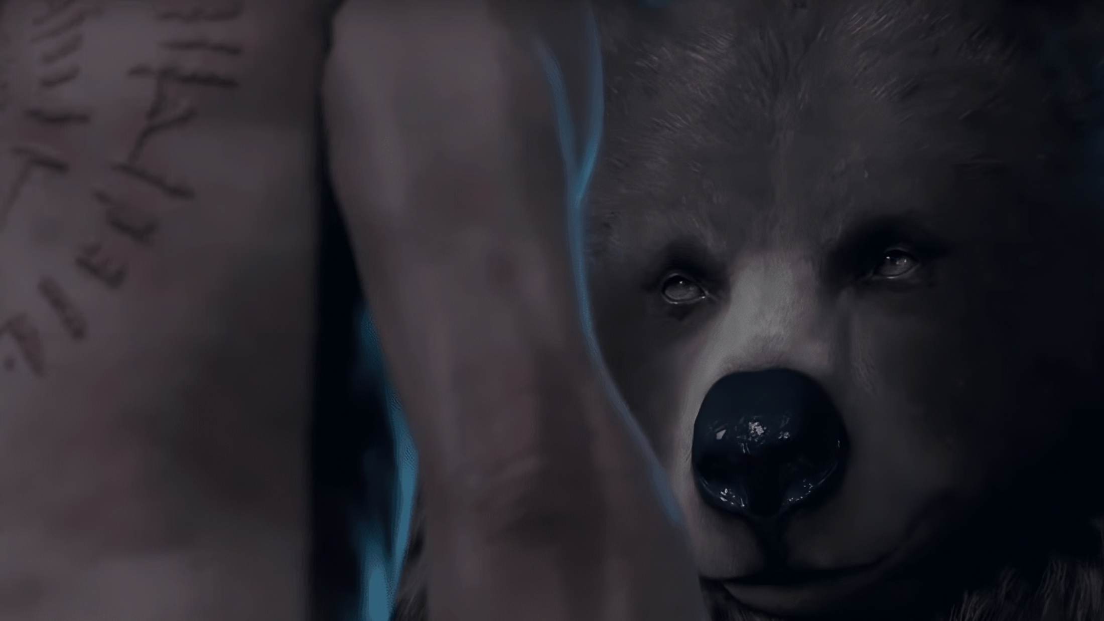 Baldur's Gate 3: il sesso con l'orso è solo un assaggio dell'"eccitazione sessuale" nel gioco