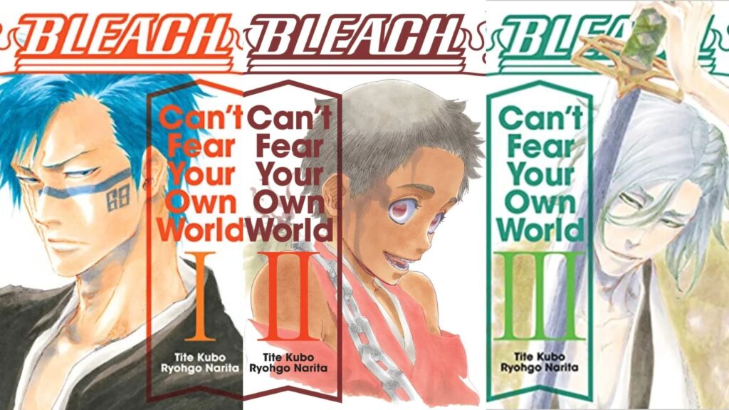 bleach-can't-fear-your-own-world