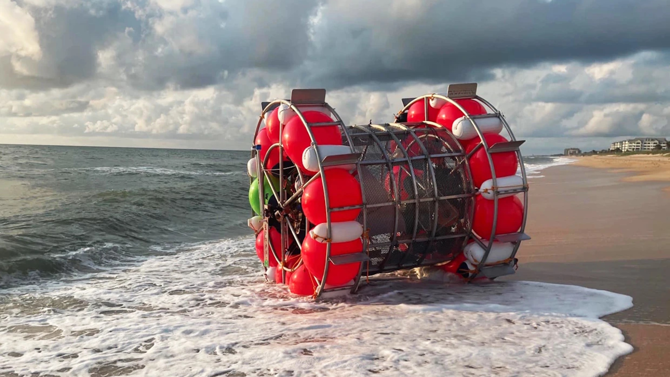 Ruota per criceti a trazione umana recuperata in Florida