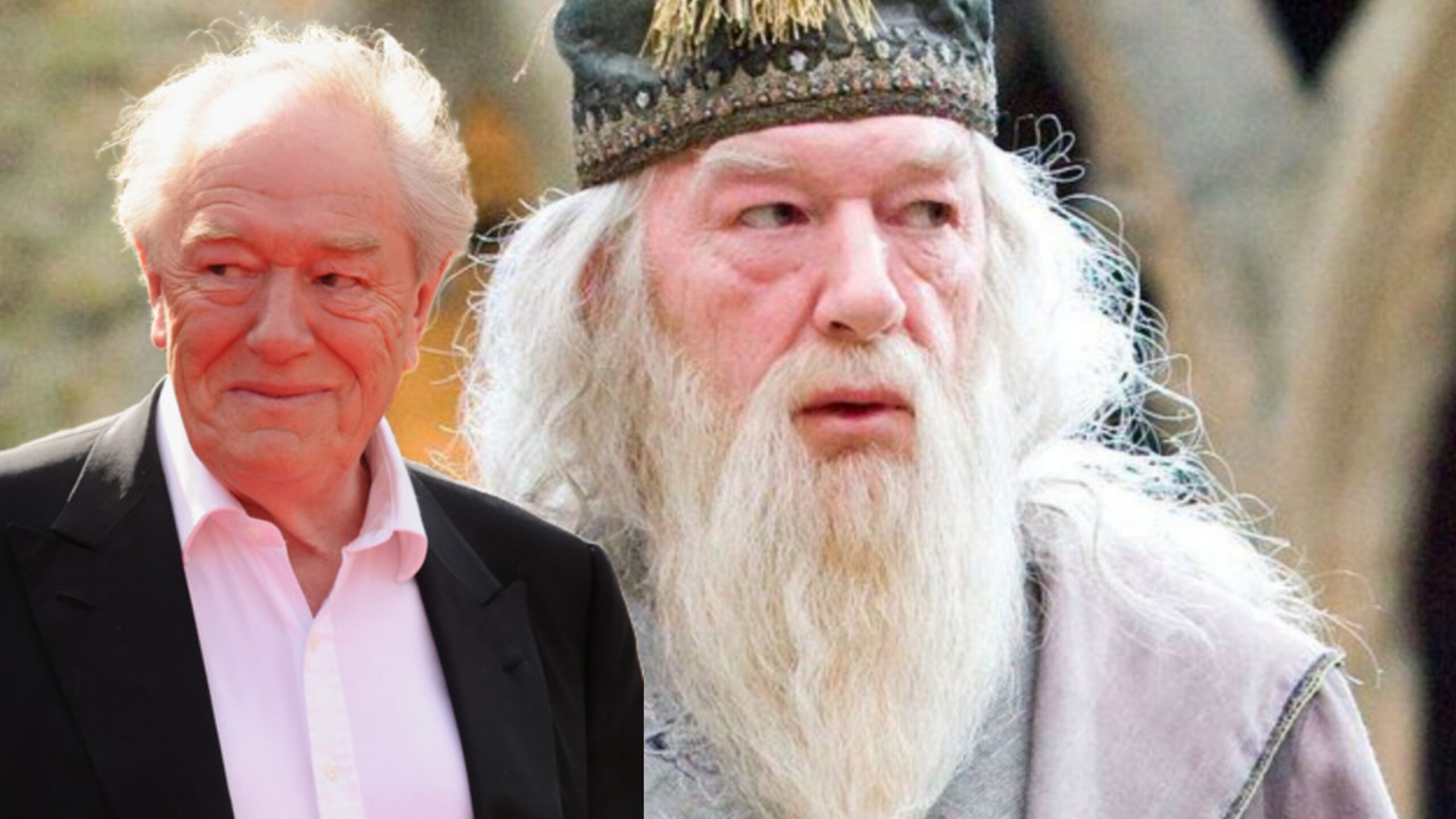 michael gambon albus silente scaled