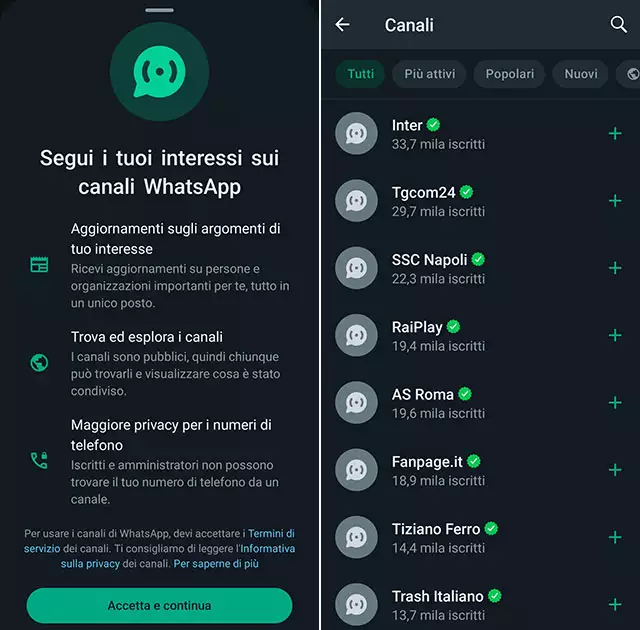 whatsapp canali in1