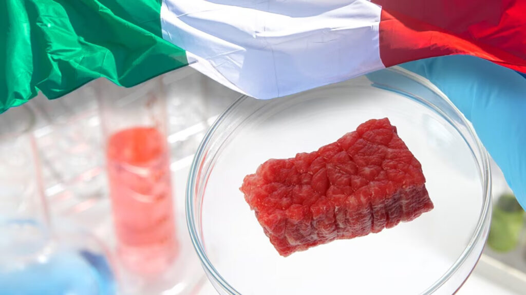 carne-sintetica-italia-unione-europea
