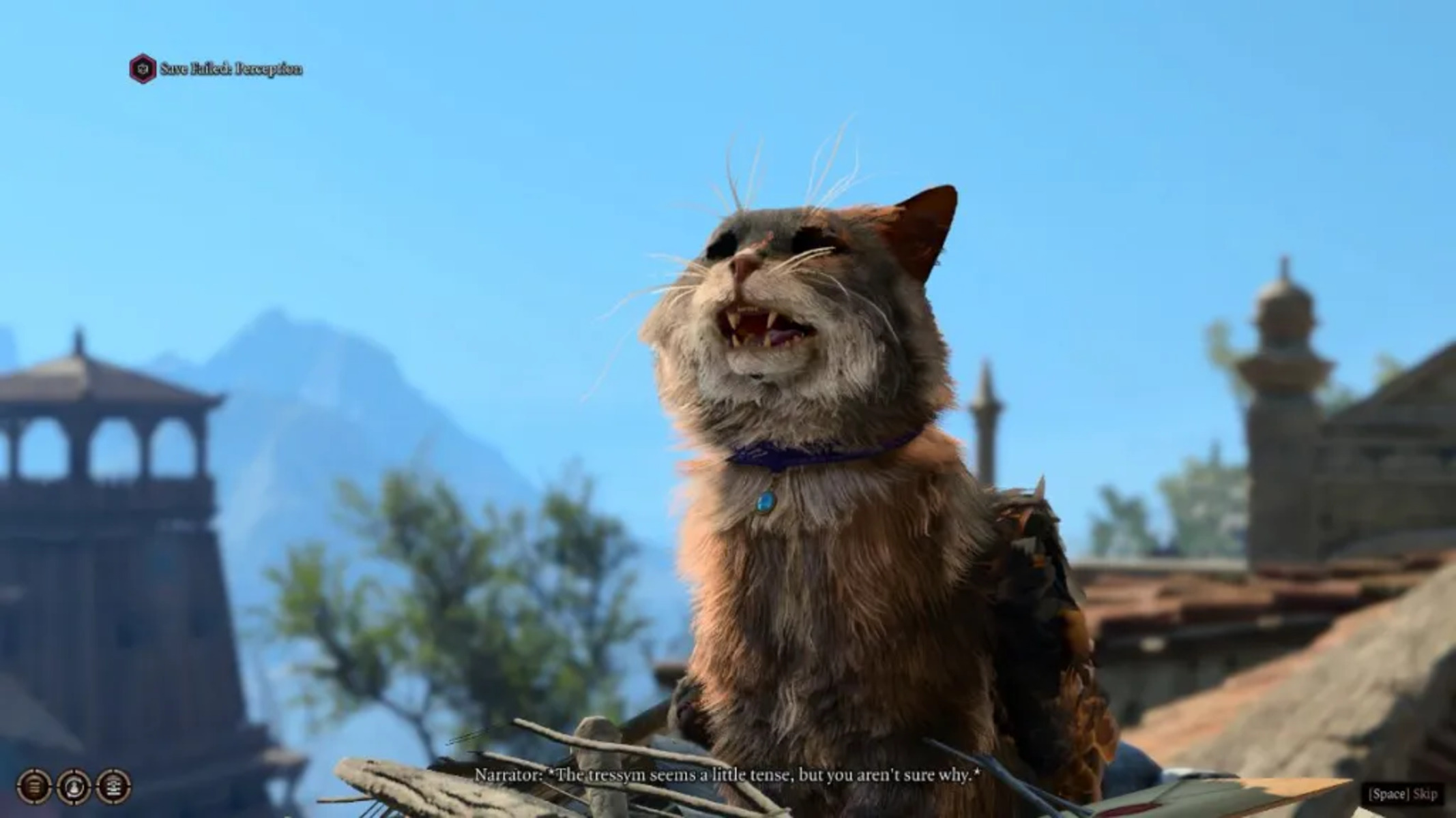 Baldur's Gate 3 gatto