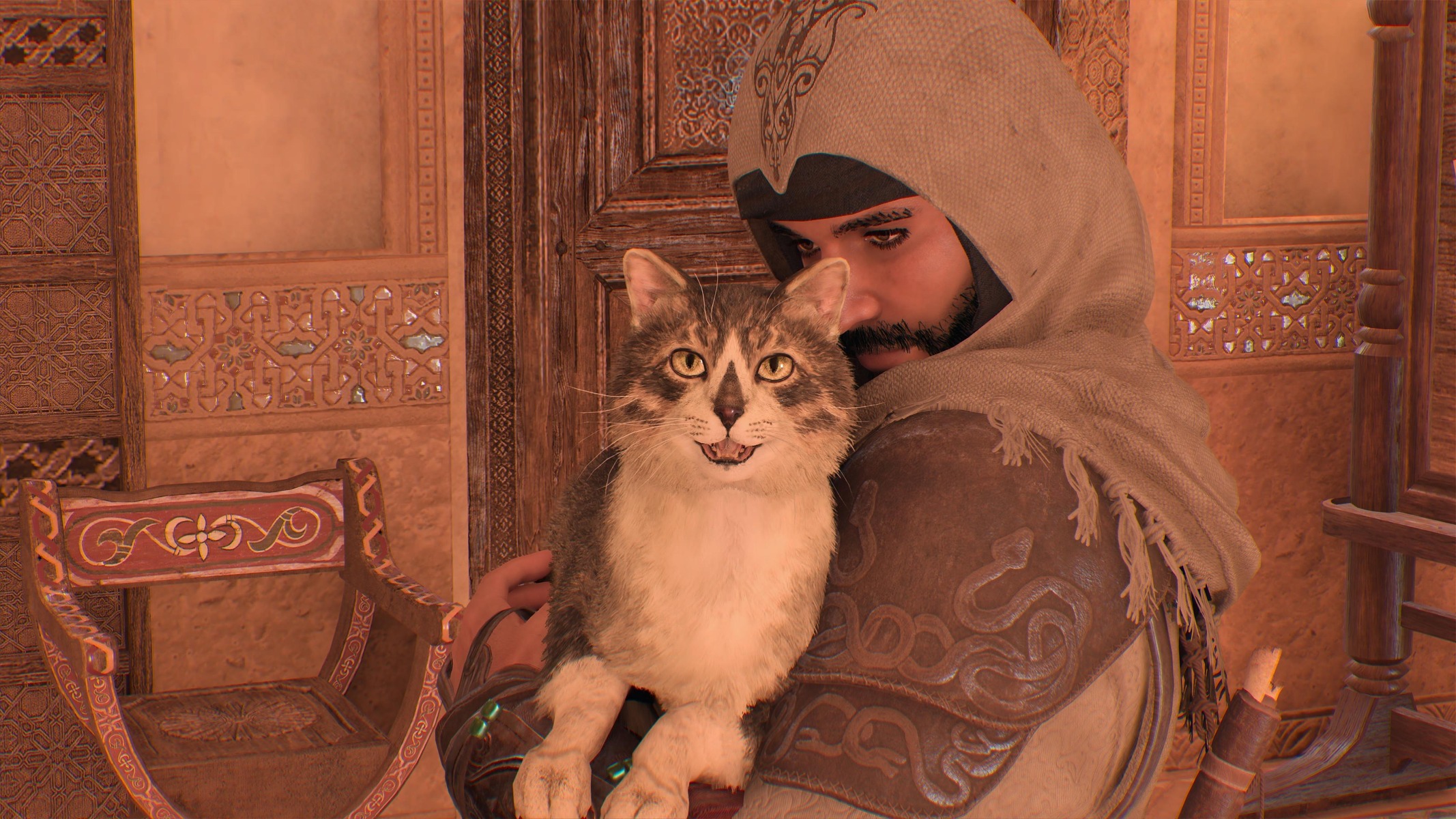 Assassin's Creed Mirage gatto con il logo degli assassini sul muso