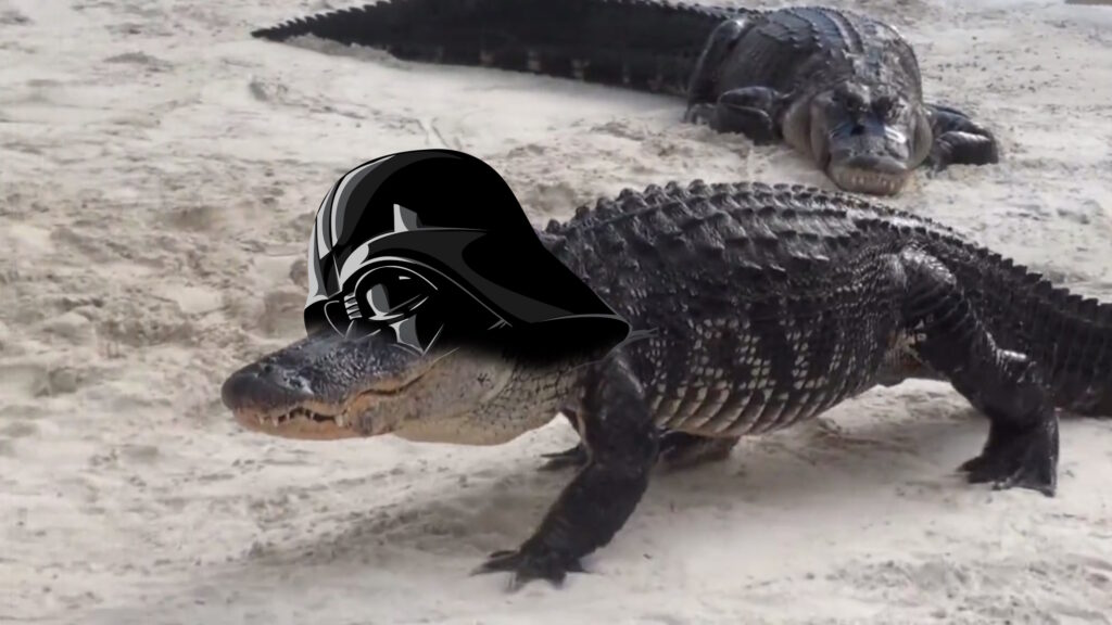 Darth Gator