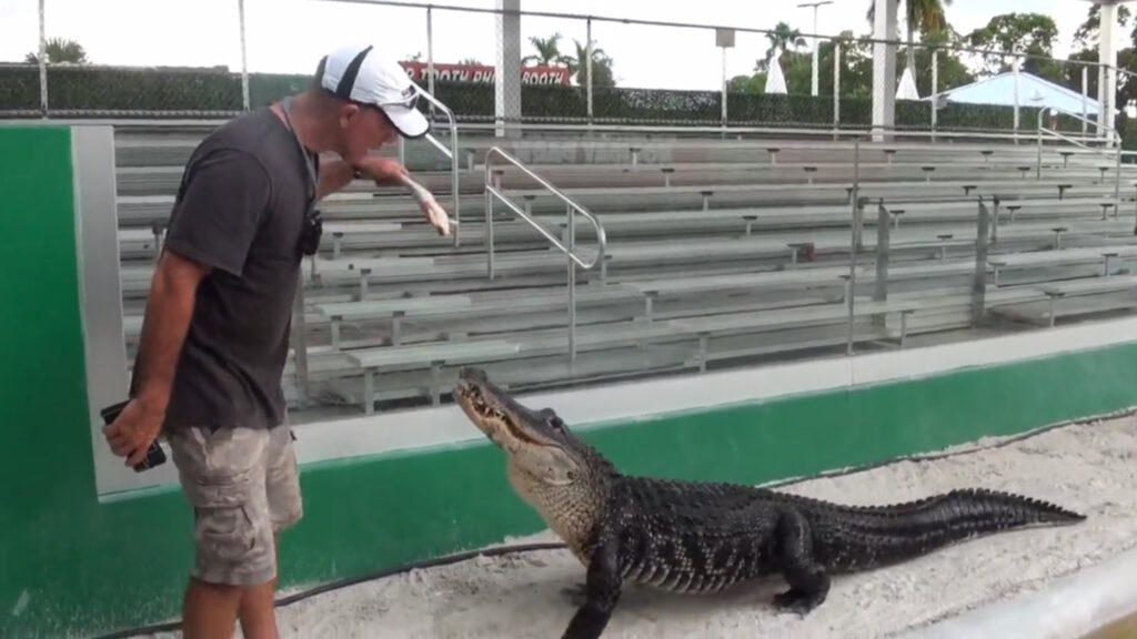 Paul Bedard con Darth Gator