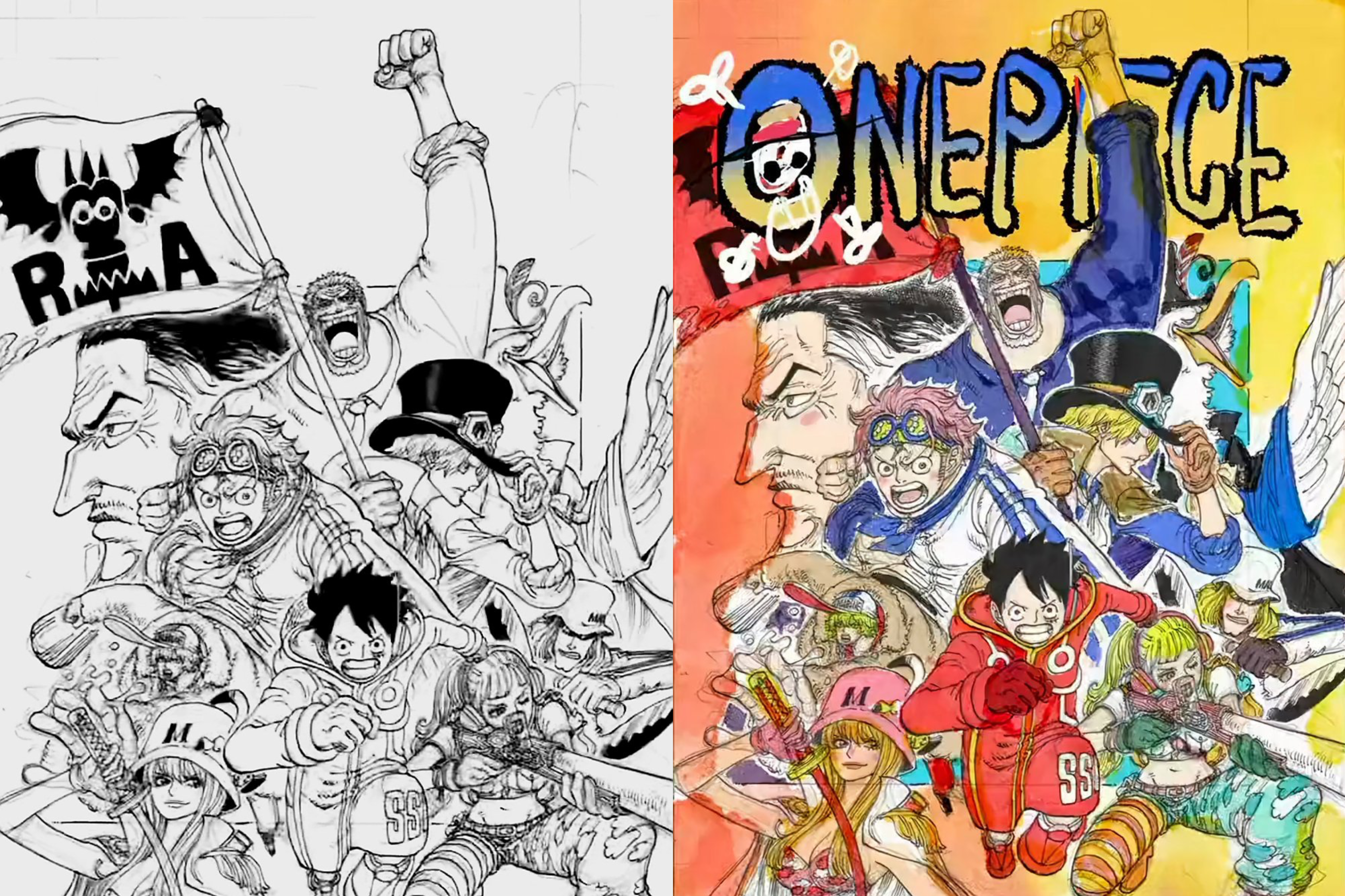 one piece 107 cover