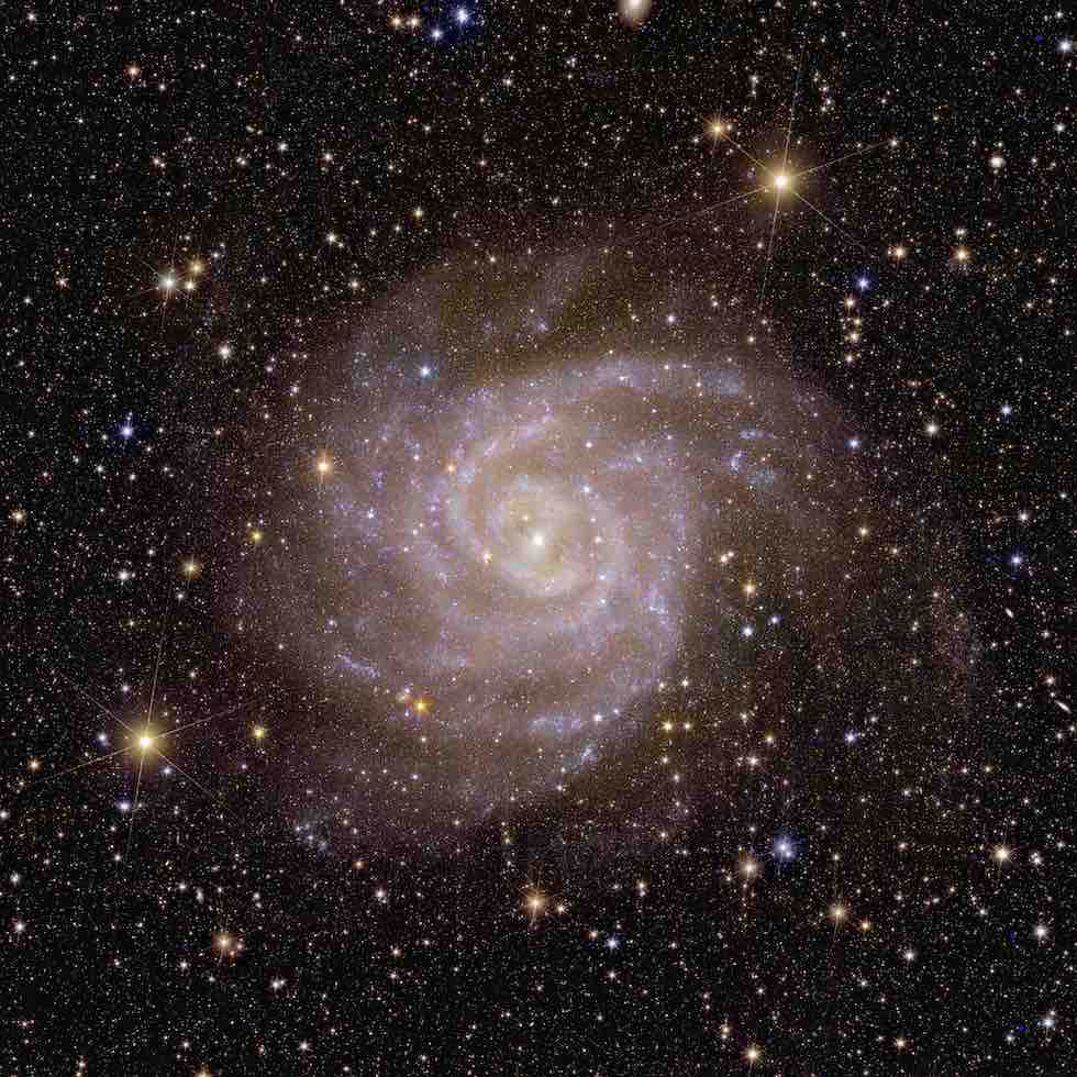 euclid-galassia-ic342
