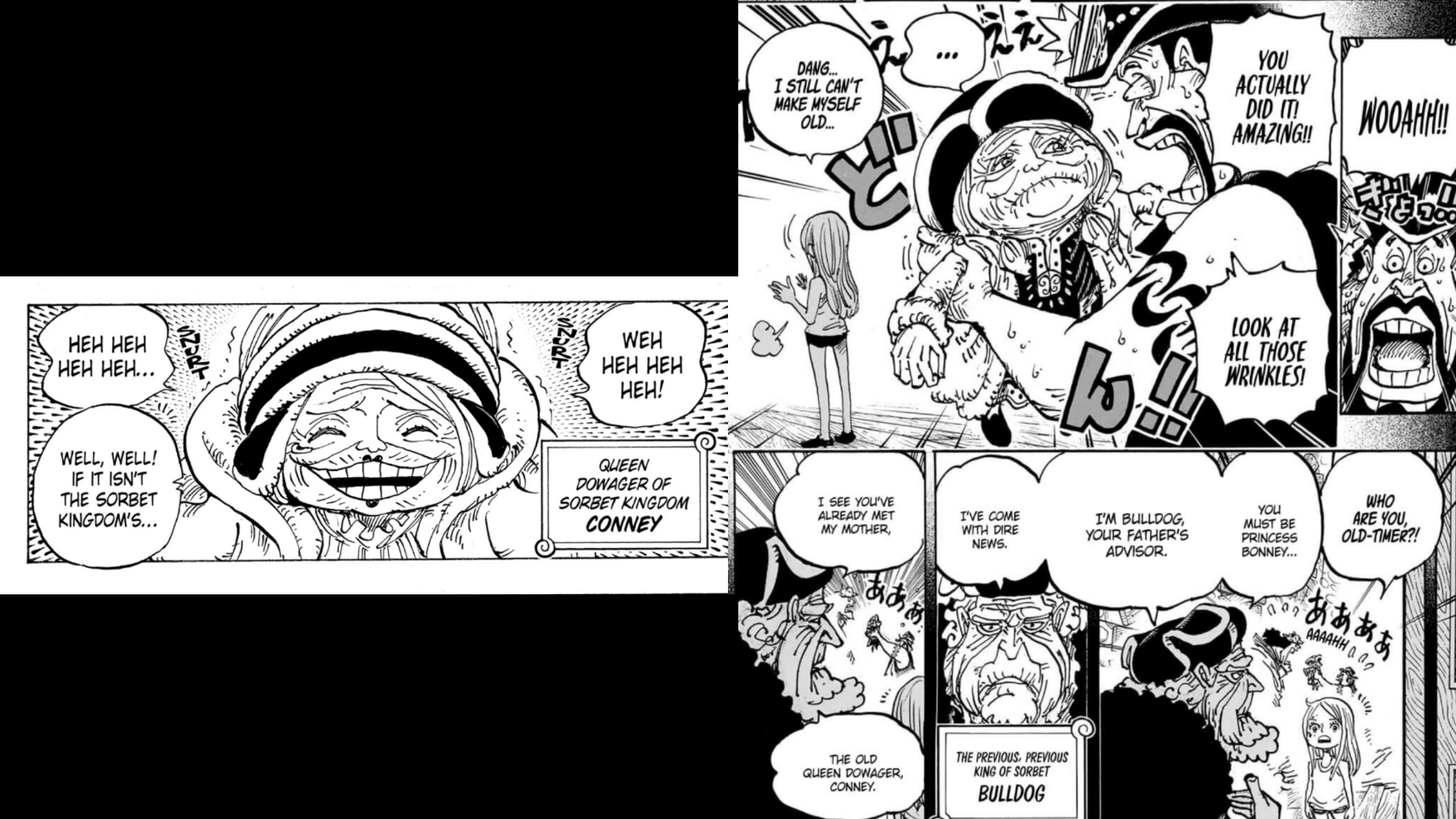 Conney di One Piece