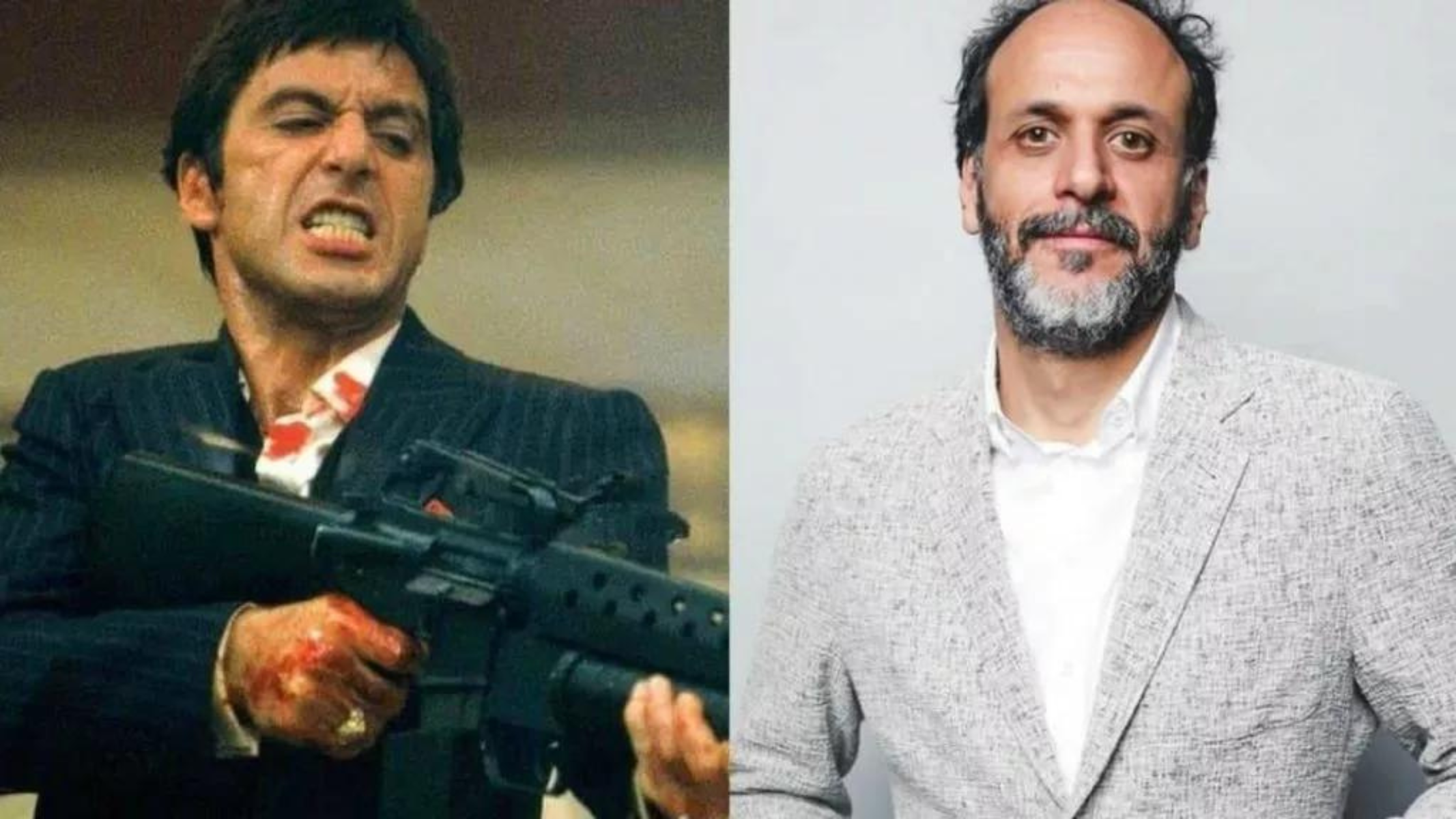 scarface guadagnino