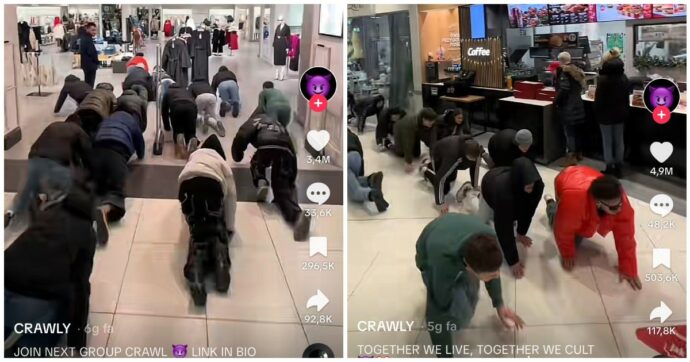 Il nuovo trend di TikTok: gattonare nei centri commerciali. “Siamo una setta” sostengono gli organizzatori 2 crawly 690x362 1