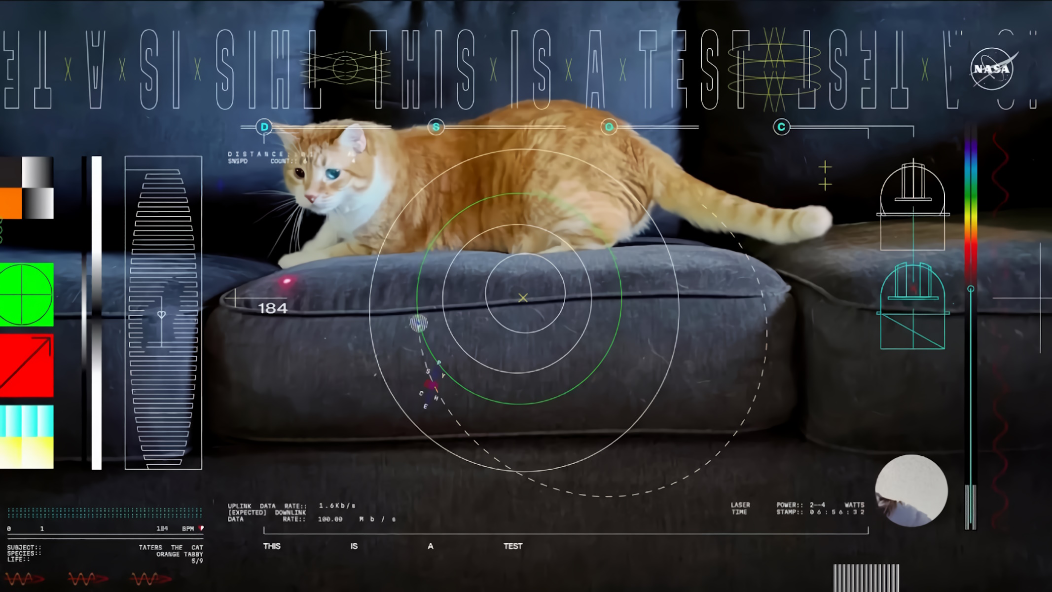 NASA Streaming video del gatto Taters che gioca con un laser