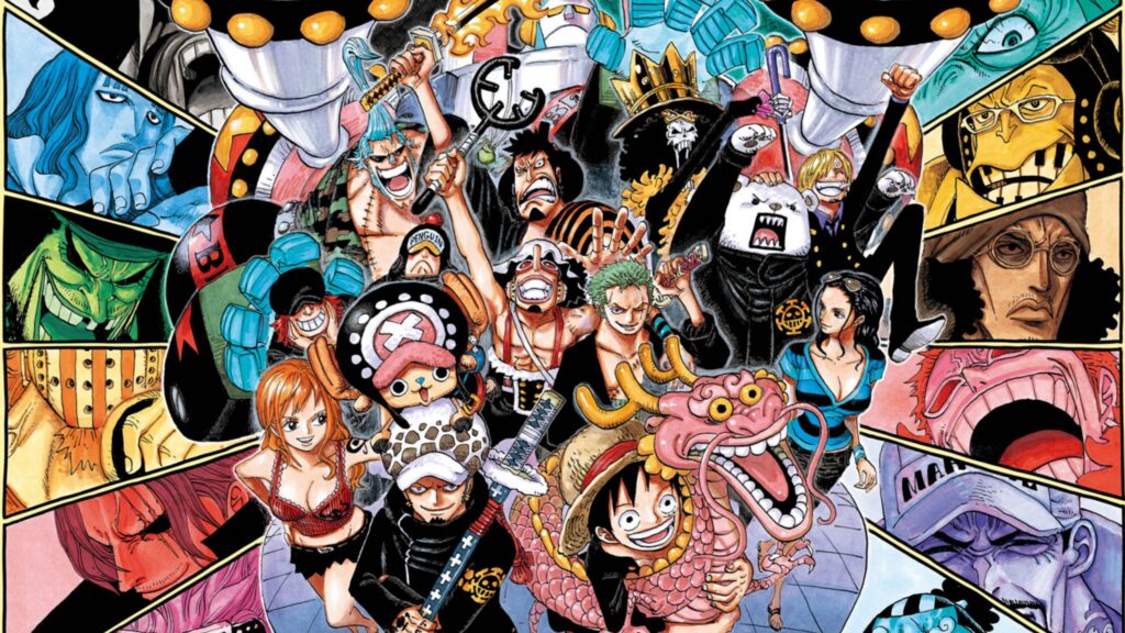 One Piece Cover
