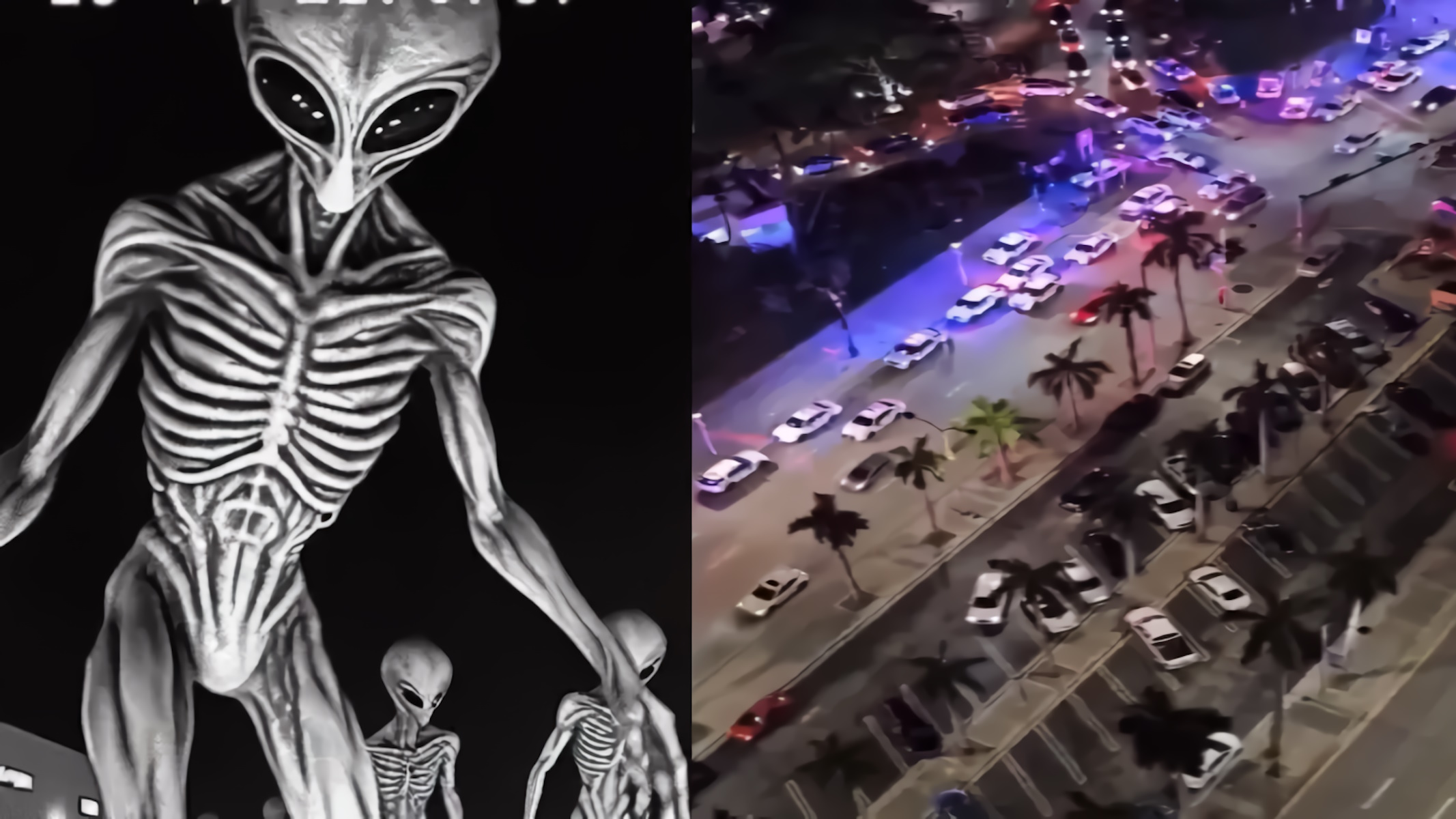 Alieno di Miami, storia del 1 gennaio 2024
