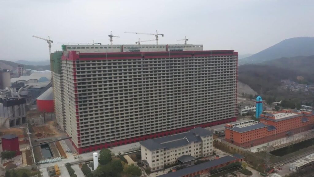 Allevamento intensivo a grattacielo in Cina
