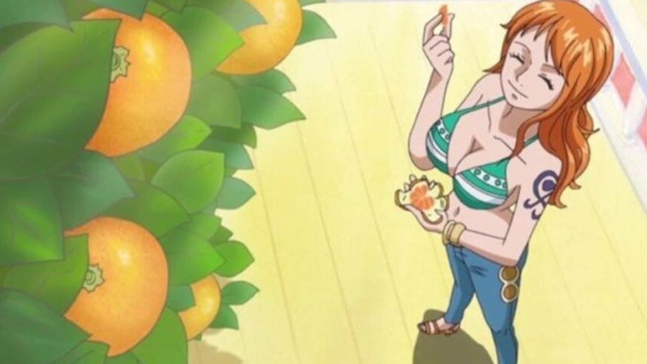 One Piece giardino dei mandarini di Nami