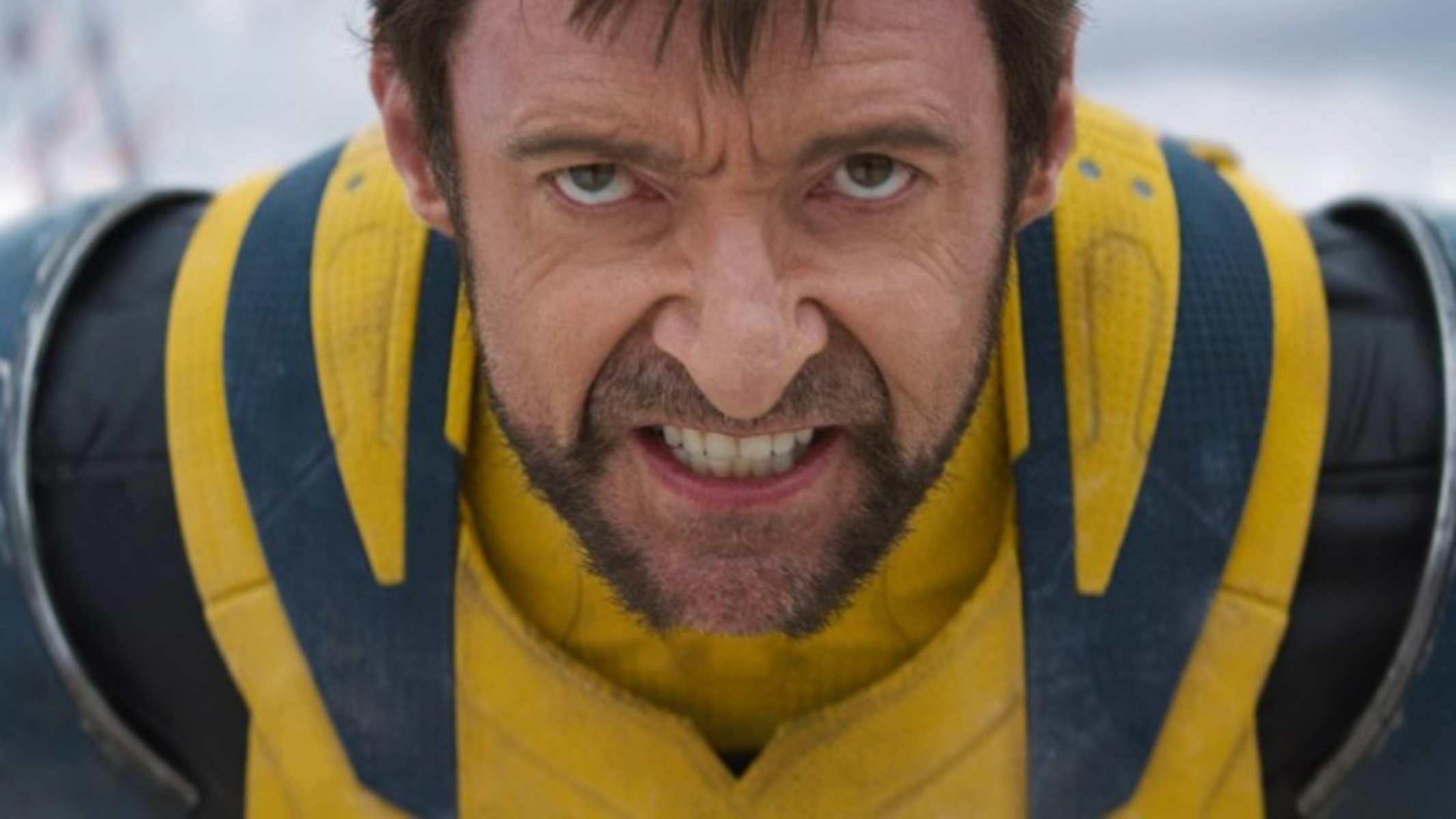 Wolverine