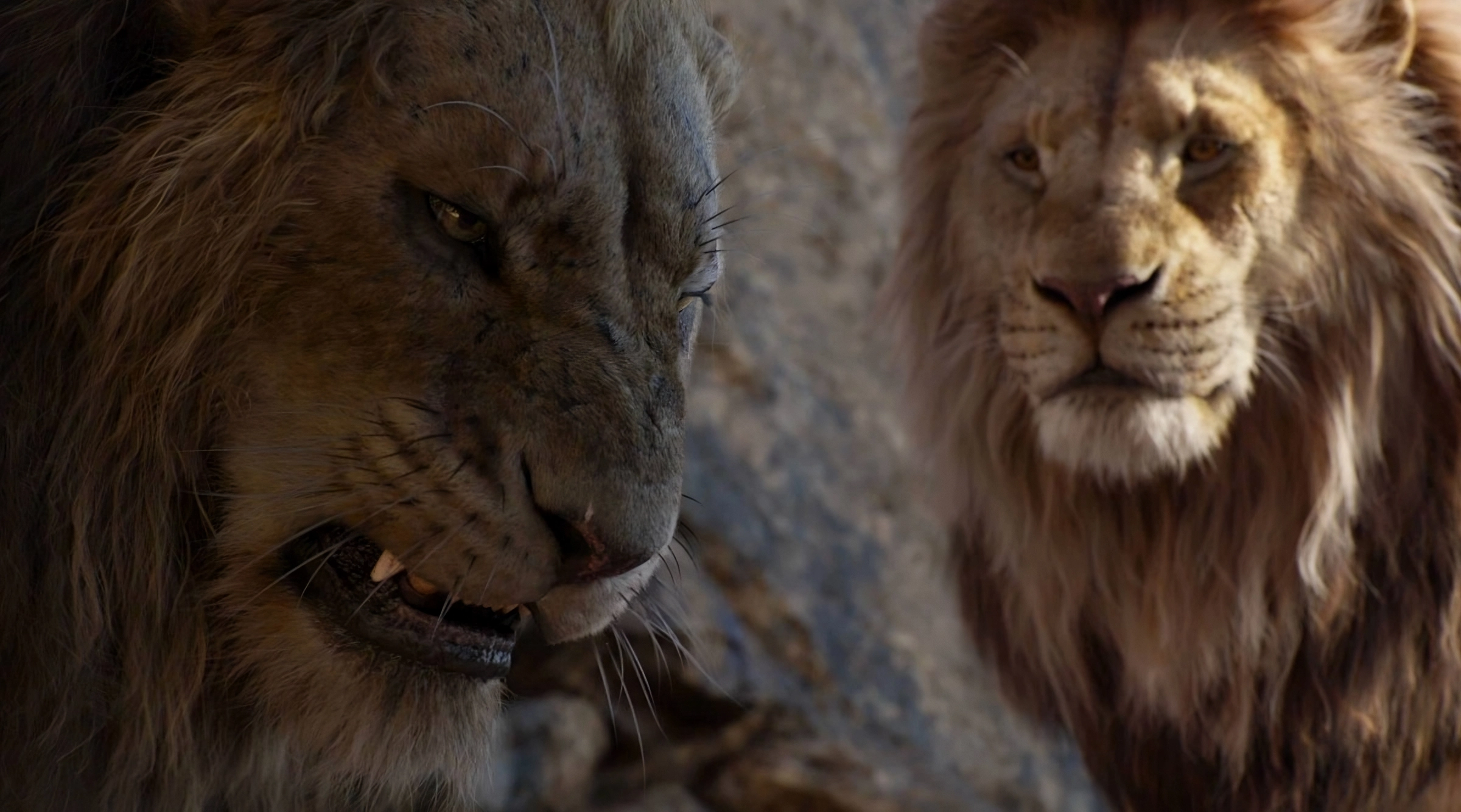 mufasa and scar transformed