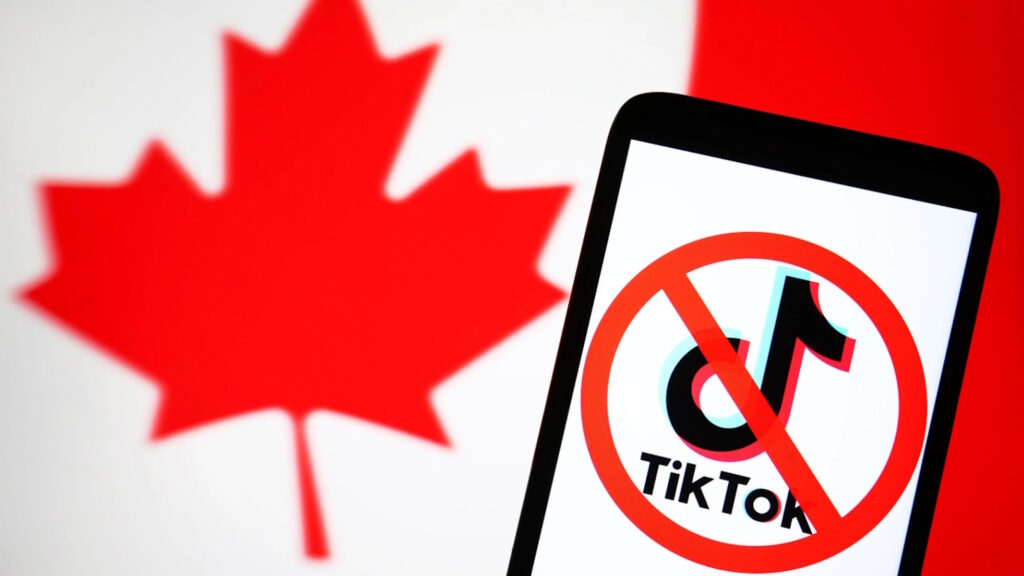 TikTok bannato in canada