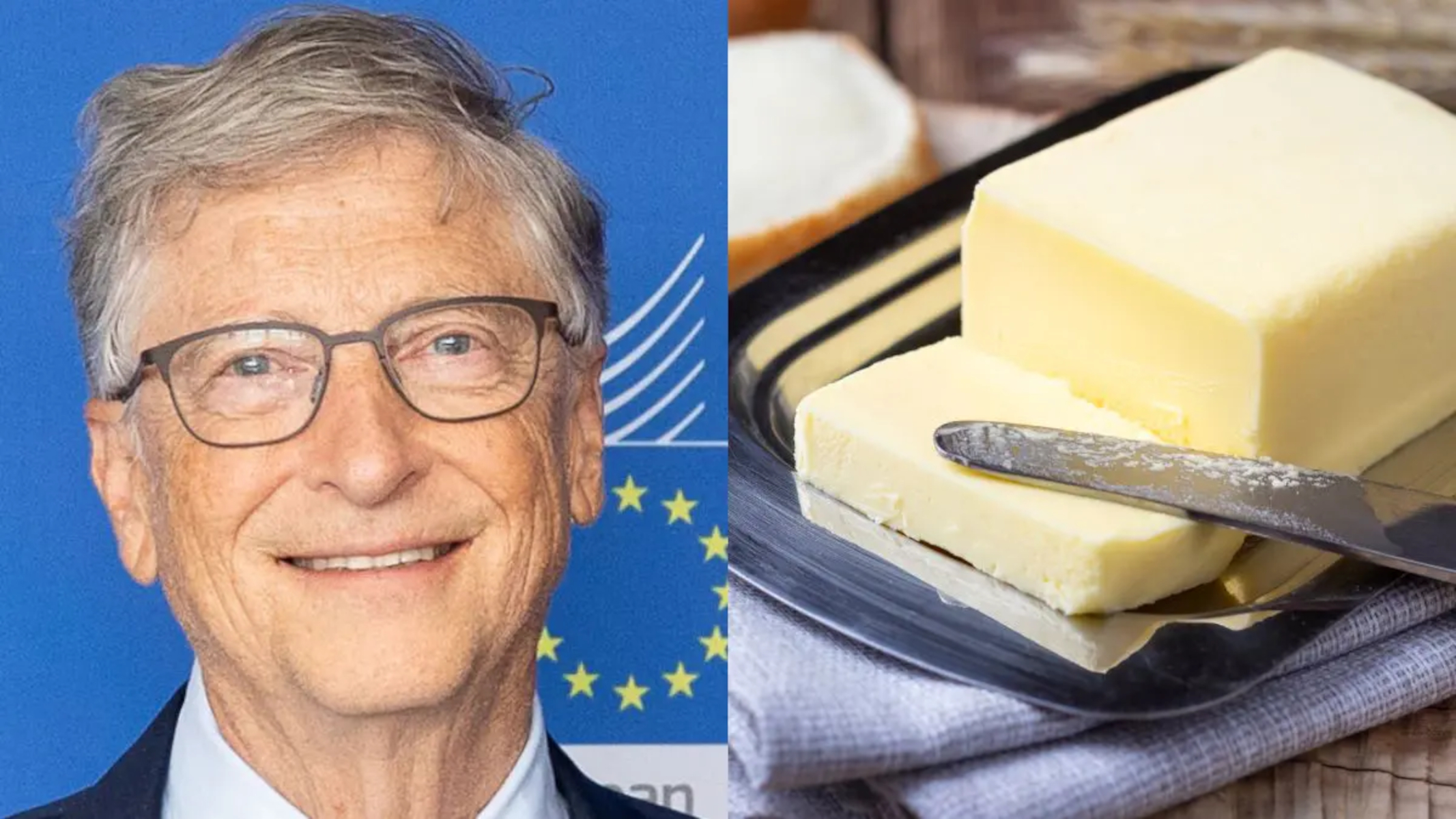 Bill gates investe nel burro d'aria