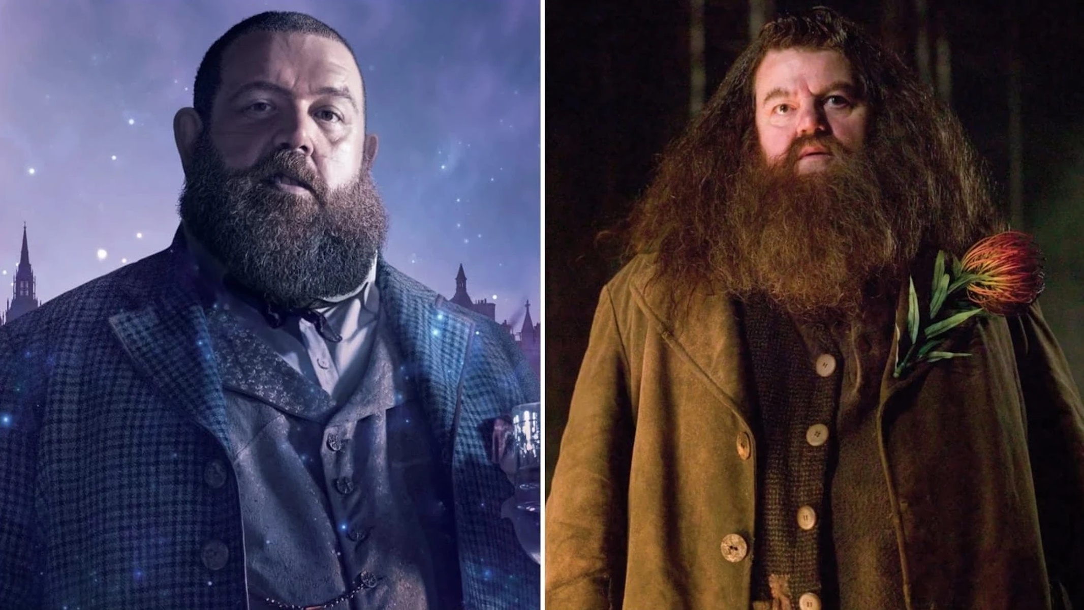 Nick Frost interpreterà Hagrid nella serie HBO di Harry Potter