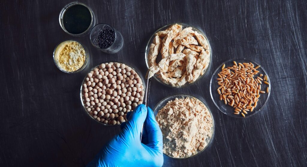 Bill Gates investe nel "burro d'aria": 33 milioni per trasformare il futuro del cibo sostenibile 2 novel food