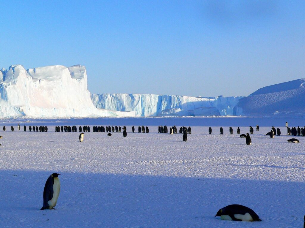 Antartide: rilevato un segnale radio ignoto che gli scienziati non sanno spiegare, forse una nuova particella 2 penguins antartide