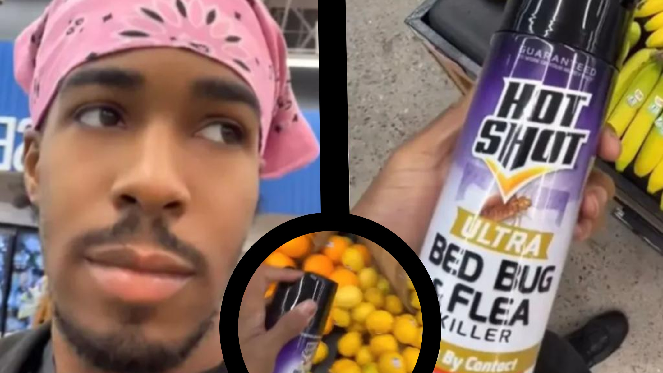 "prank" di Wolfie Kahletti su TikTok in cui spruzza insetticida sul cibo