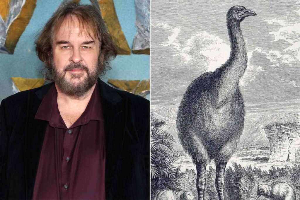 Peter Jackson