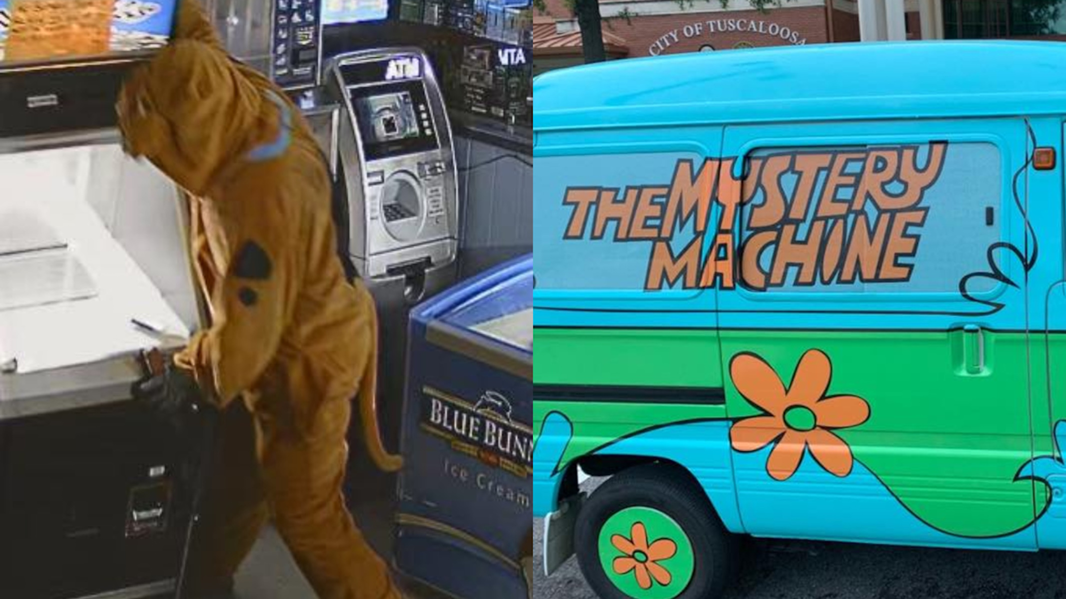ladro travestito da scooby-doo e la sua mistery machine