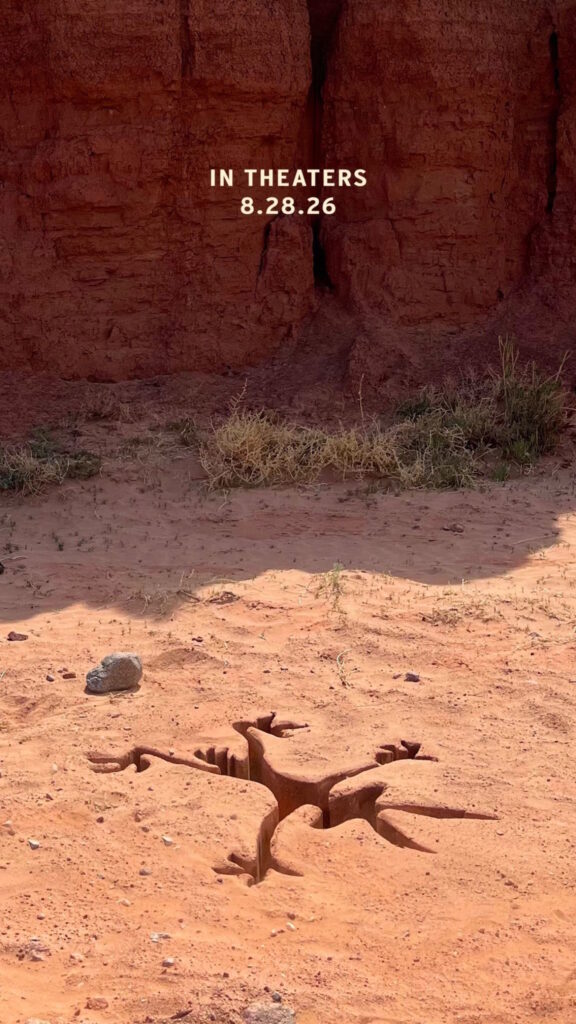 locandina coyote vs acme