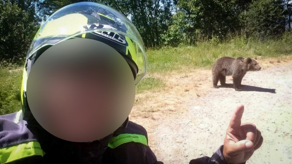 Tragedia in Romania: motociclista italiano perde la vita per farsi un selfie con una famiglia di orsi 1 omar selfie orsi romania