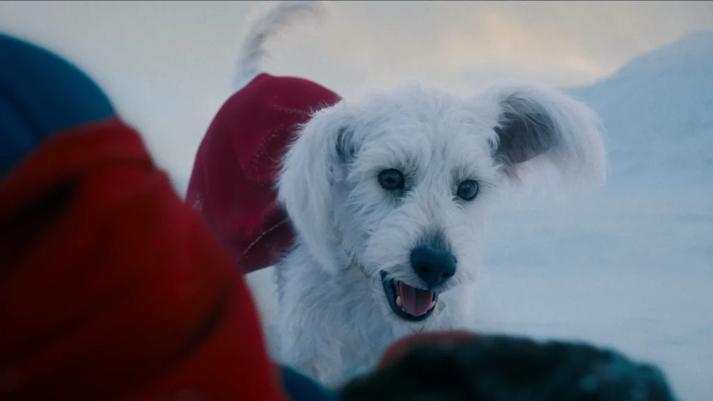 Krypto in Superman.jpg