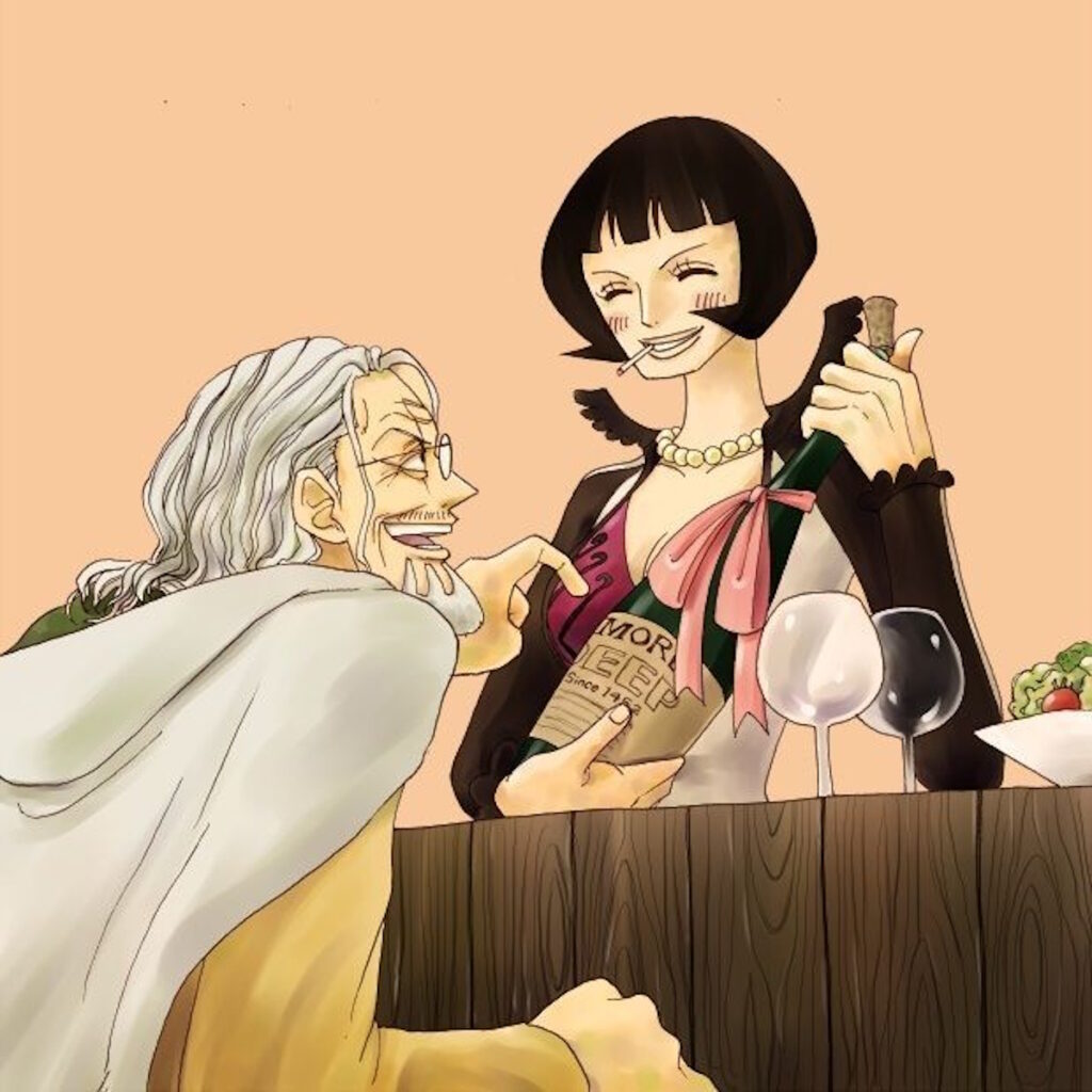 one piece rayleigh shakky artwork