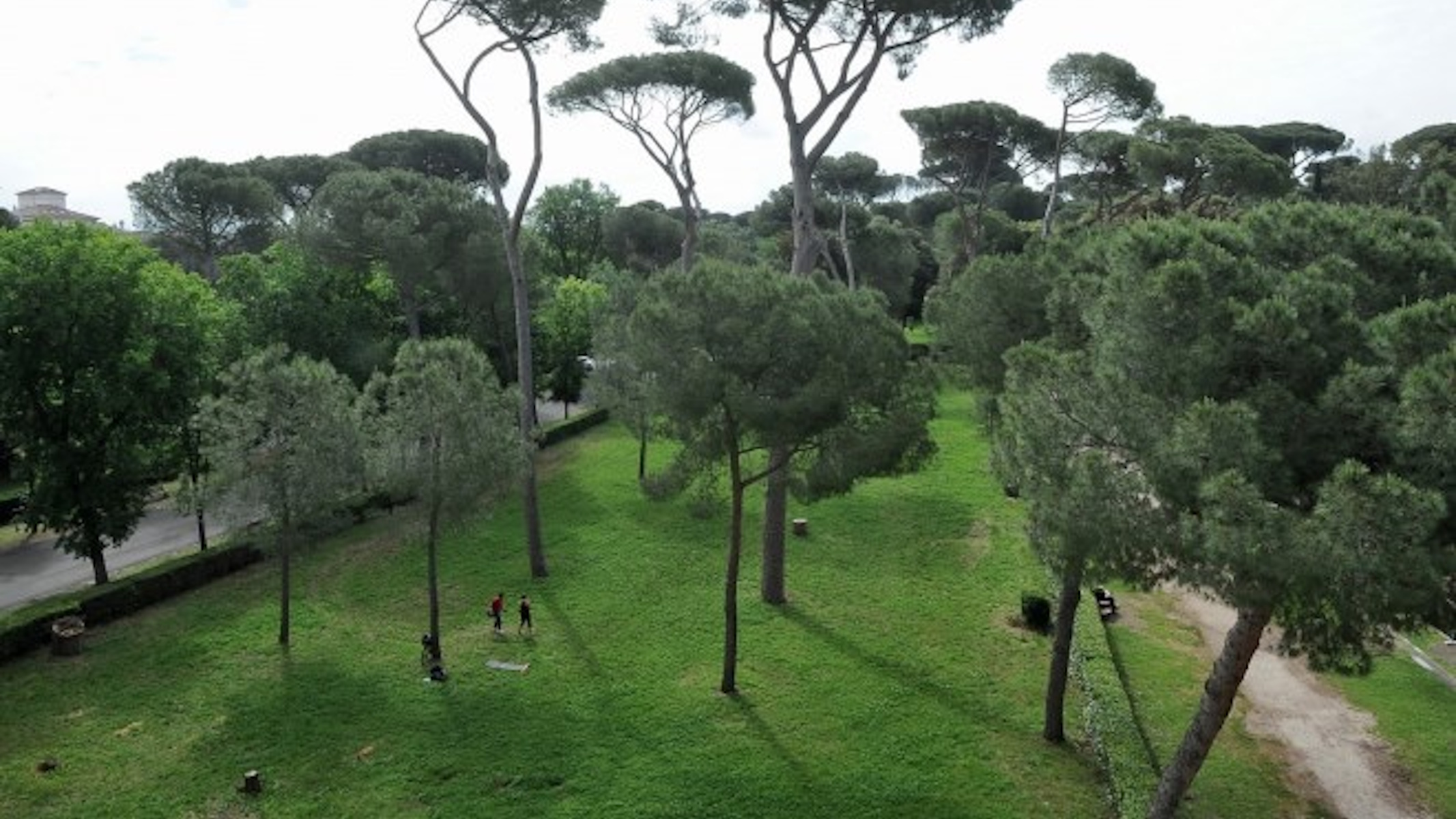 roma bosco villa borghese