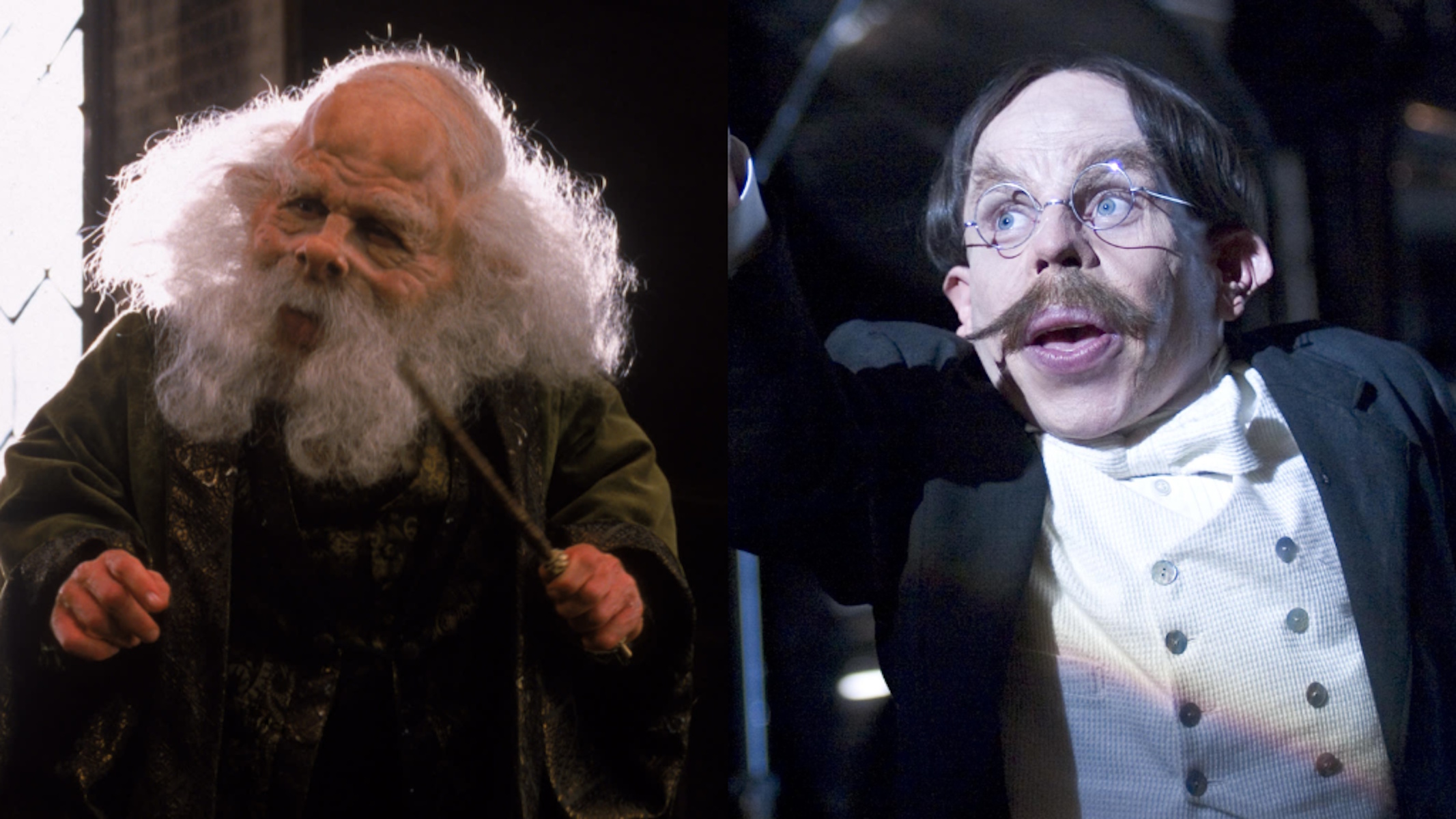 le due versioni del Professor Vitious in Harry Potter