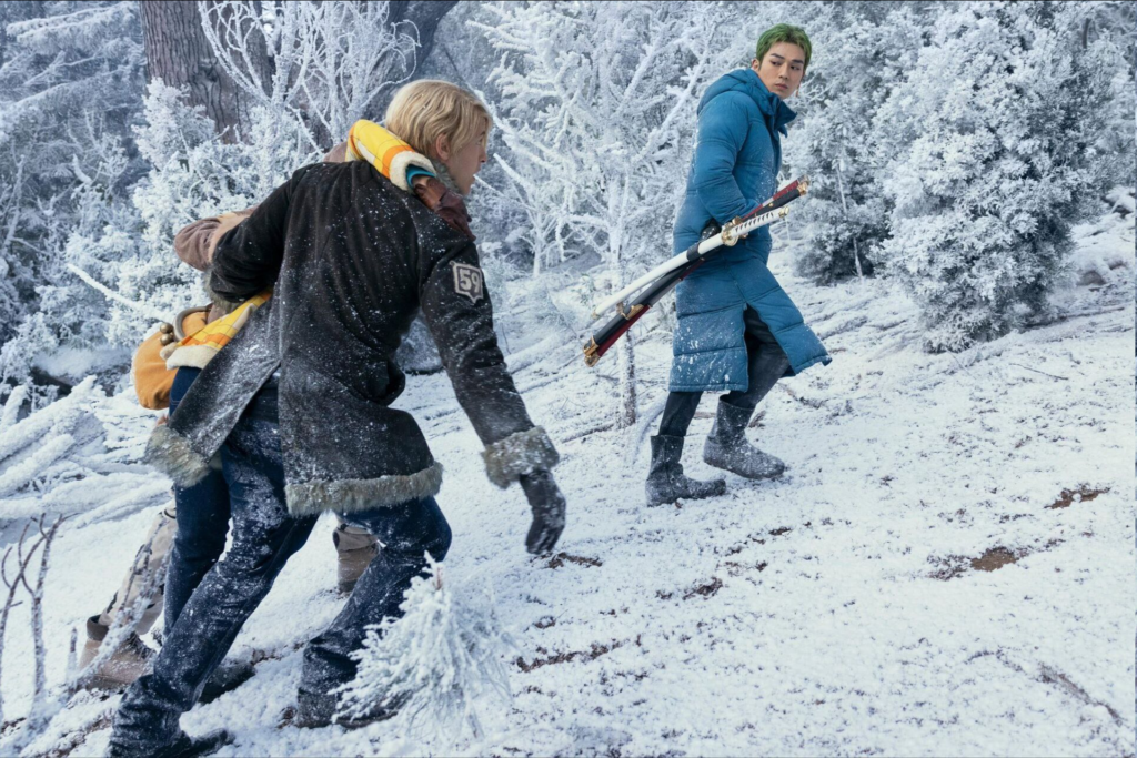 immagine 30